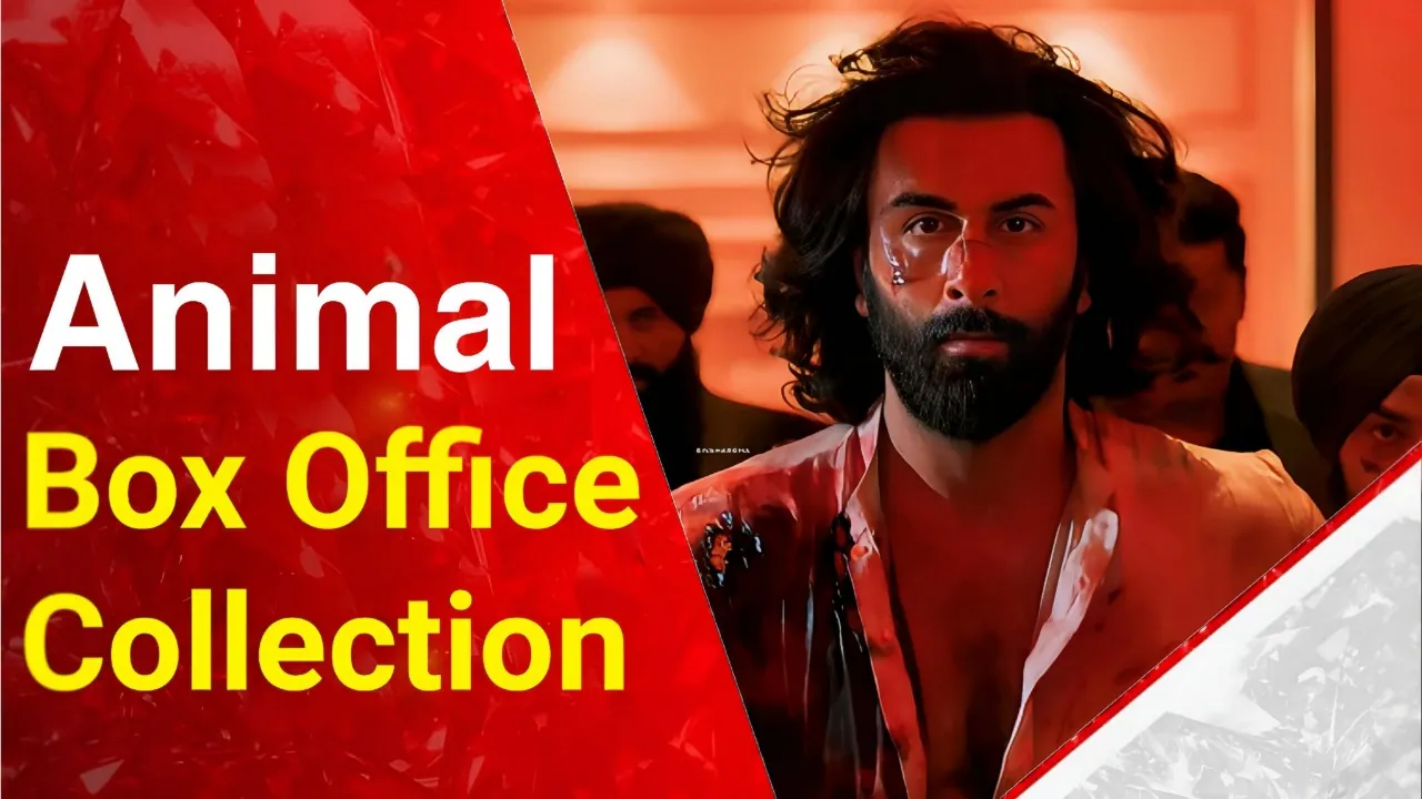 Animal Box Office Collection | Worldwide | Day Wise | Budget | Hit Or Flop